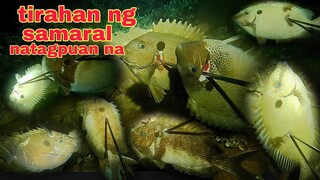 ep339.natagpuan namin ang tirahan ng mga samaral night spearfishing Philippines.