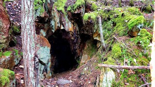 Gold Mine Workings Reportedly Contain Free Gold!
