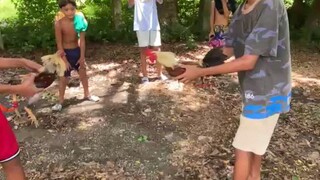 run