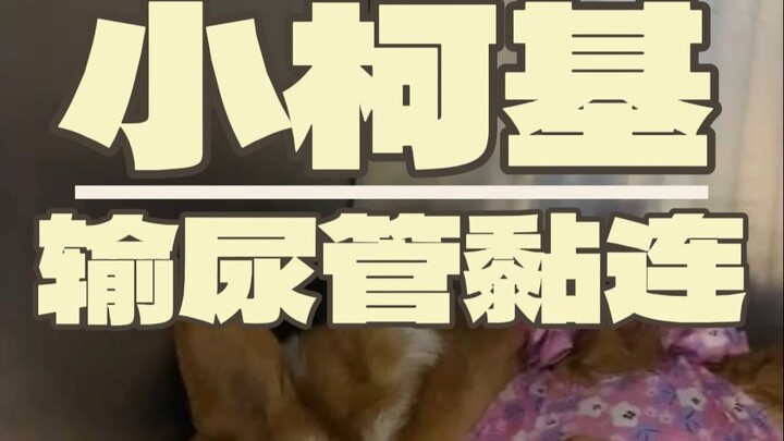 ครั้งนี้ป่วยหนักจนเกือบเอาชีวิตลุงจางไปเลย