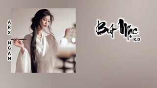 Bút Mặc (笔墨) - K.D