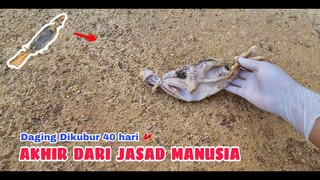 EKSPERIMEN: KUBUR DAGING 40 HARI.. [#part3]  AKHIR DARI JASAD MANUSIA