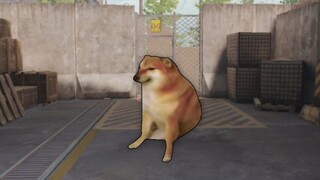 《强农现状》
