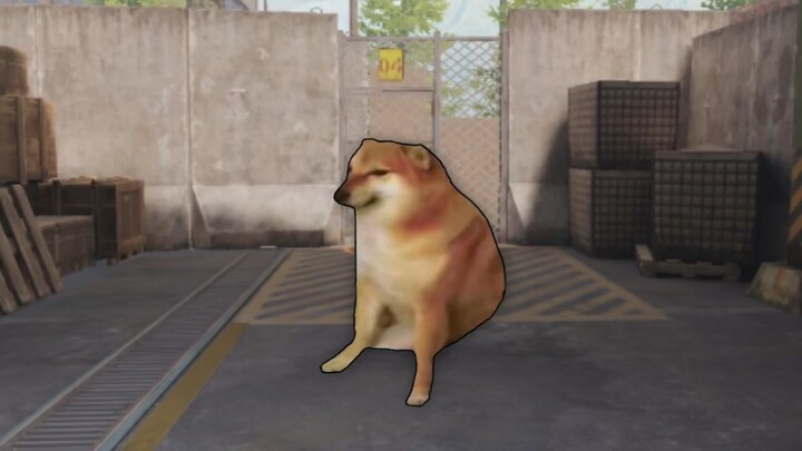 《强农现状》