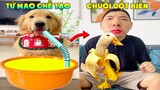 Thú Cưng Vlog | Tứ Mao Ham Ăn Đại Náo Bố #19 | Chó gâu đần thông minh vui nhộn | Smart dog funny pet