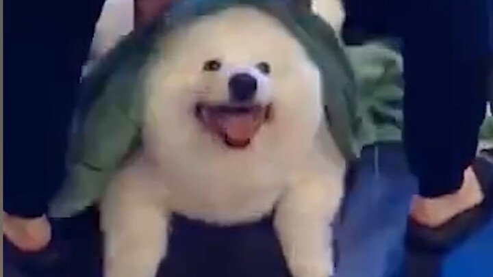 “ความสุขของซิวโก่วง่ายๆ แค่นี้เอง”