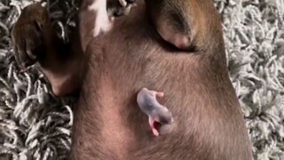 SobrangLiitPeroCute❤❤