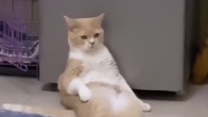 Actually, I don't want to go out yet.