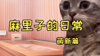【熟肉】萌新来找麻里子打Apex | 猫meme