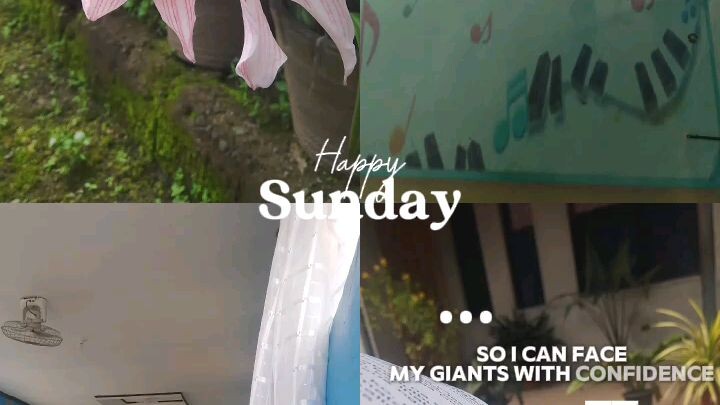 Happy Sunday