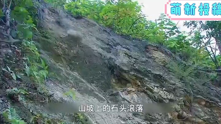 ساعدت السيدة العجوز بحسن نية رئيسًا بمليارات الدولارات، لكنها لم تكن تعلم أنه ابنها المفقود منذ 50 ع