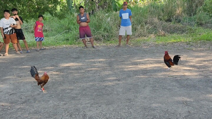 STREET FIGHT SERYE BANTEX WIN WALANG SUGAT SA AMIN DECEMBER 24, 2025.