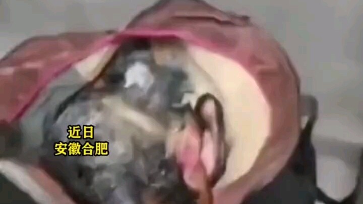 Baru-baru ini, di Hefei, Anhui, seorang pria bersama keluarganya berhemat selama bertahun-tahun hing