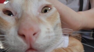 #659 Ngày đầu tiên Dẻ làm thiếu nữ