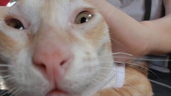 #659 Ngày đầu tiên Dẻ làm thiếu nữ