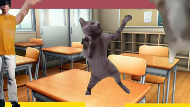 [Cat Meme] "Hai Năm Tôi Xẻng Đồ" - Giáo viên trung học cơ sở｜Không có đạo đức nhà giáo｜Giáo viên lợi