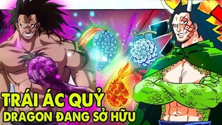 Monkey D Dragon sẽ sở hữu trái ác quỷ gì?