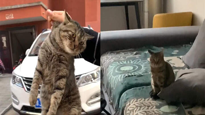 A woman came home to find her cat eating garbage outside. Without a second thought, she scooped it u