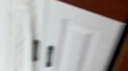 Cá: Đang nghỉ lễ thì liên quan gì đến tôi! Còn lục tung cả nhà tôi lên!!