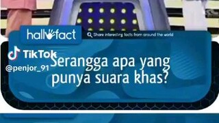 emak emak selalu benar🗿