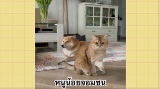 เพื่อนตัวน้อยแสนซน : หนูน้อยจอมซน