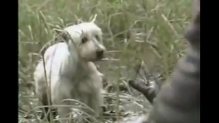 Wonderful Stories of the World: Have you heard of the 'Dog Hole'? Legend has it that it is a shortcu