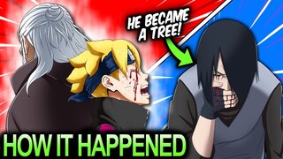 Boruto's Plot Twist Went TOO FAR - The TRUTH Behind Sasuke Becoming A Tree!