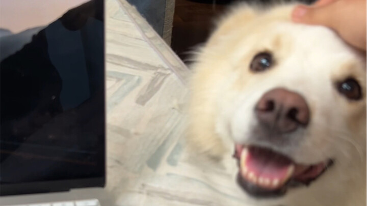 The Everyday Life of Socially Anxious People