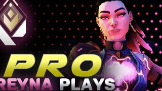 Reyna Montage `Best Reyna Plays` คุณค่าไฮไลท์