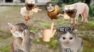 小时候在奶奶家的暑假