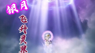 银月飞升灵界！