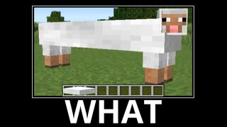 WAIT WHAT (Minecraft) #24