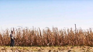 اقتل نفسك بعد ٣٠ عامًا لتحصل على ٨ قطع ذهبية. هل ترغب بفعل ذلك؟