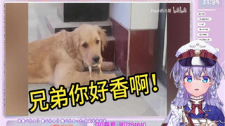 日本萌妹看≪这大概就是人养狗的原因≫直呼可爱