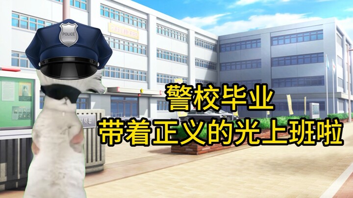 【猫meme】跟momo去办案：出轨现场，小三刀了原配