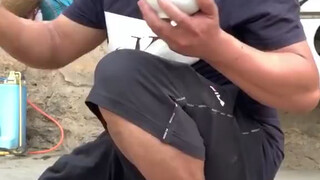 吃播的碗急需装个栅栏