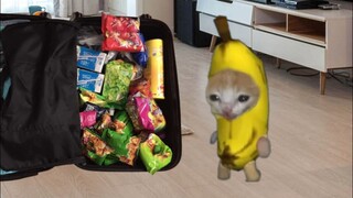 College Students Before vs. Now