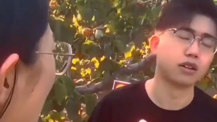 دودة الحكمة التسعة الدورات حقًا مرعبة إلى هذا الحد