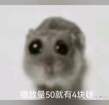 鼠鼠