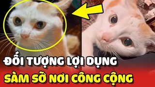 Phát hiện Hoàng Thượng LỢI DỤNG "SÀM SỠ" tại quán hủ tiếu "TAY VỊN" vỉa hè 😂 | Yêu Lu