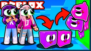 Slime Shape Obby! | Roblox