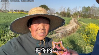 川渝地区的已读乱回