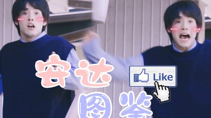 Cẩm nang An (ngốc) Đa (chó) | Cả video cực đỉnh, vui nhộn hết cỡ | Cùng chú cún dễ giật mình xoay tr