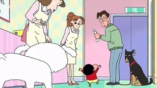 Xiaobai is family
