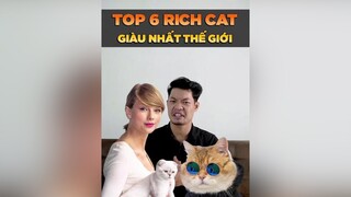 Top 6 Rich Cat giàu nhất thế giới tuitienpet petonesaigon petnhatrang dcgr