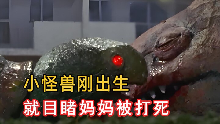 小怪兽刚出生，就目的妈妈被奥特曼打死！