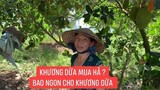 Nhận nhiệm vụ gom mít ngon tại vườn cho Khương Dừa lên Sài Gòn bán...!