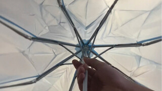 There are only 5 umbrellas in the world