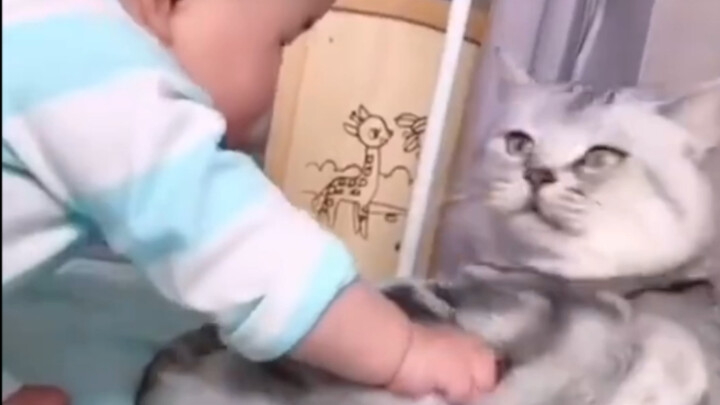 Cat: Stop tickling me, okay?