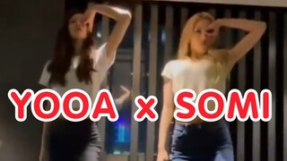 فيديو رقص SOMI و YOOA لـ "DUMB DUMB" تم الكشف عنه!
